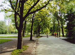 公園内の高級住宅とジョギングやスケートを楽しむ市民。