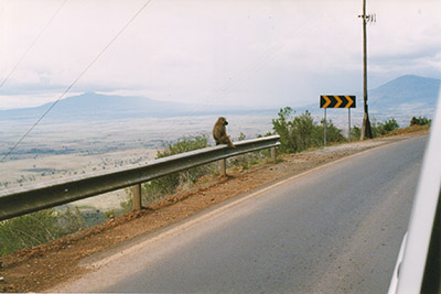 ヒヒも眺める絶景の大地溝帯、グレートリフトバレー。ナイロビからケリチョーへ向かう道中。